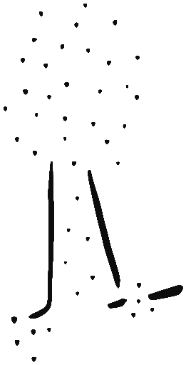 Image of the occurrence